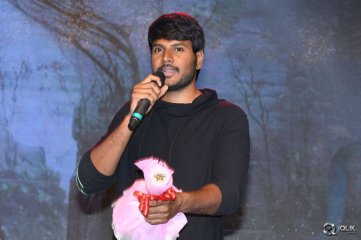 Ekkadiki Pothavu Chinnavada Movie Audio Success Meet